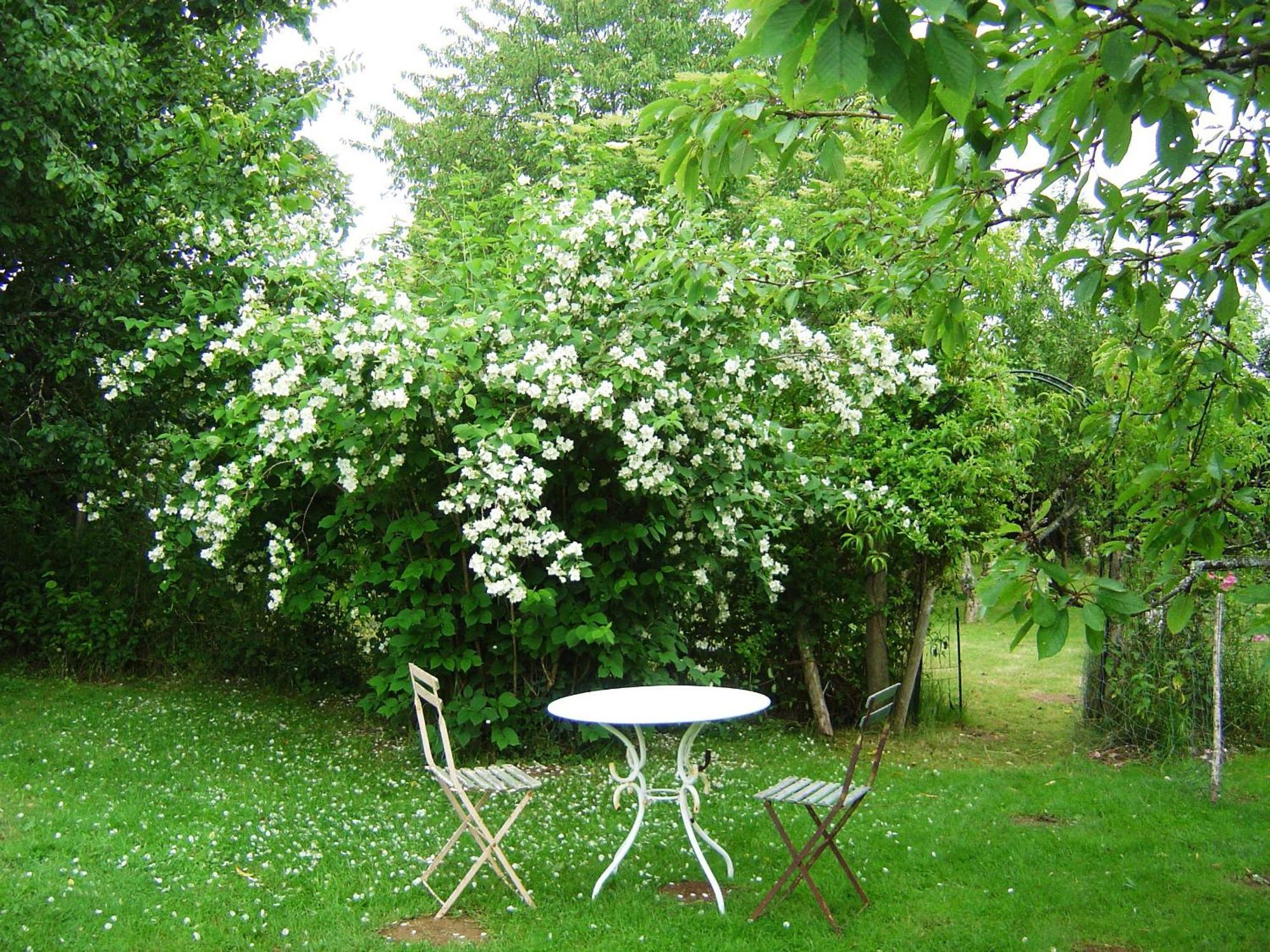 Les Trois Chenes Bed & Breakfast Videix Dış mekan fotoğraf