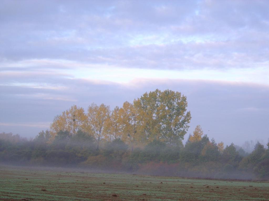 Les Trois Chenes Bed & Breakfast Videix Oda fotoğraf